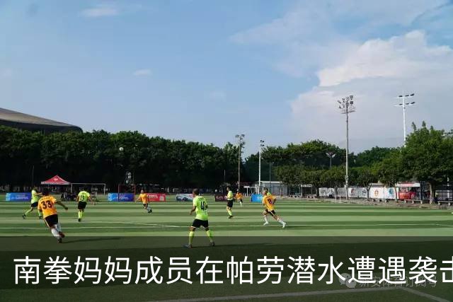 南拳妈妈成员在帕劳潜水遭遇袭击 引发多方反应和调查
