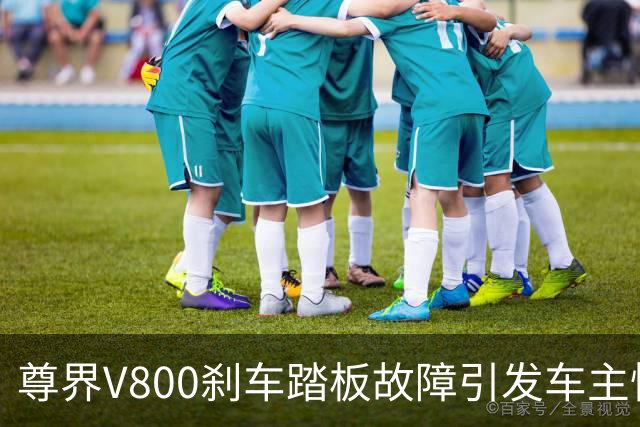 尊界V800刹车踏板故障引发车主忧虑，专家提示可能需召回